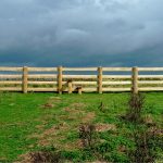 Fencing Contractors Oxford