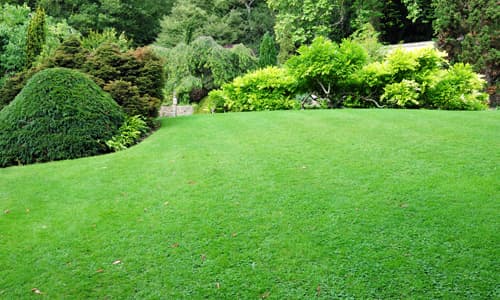 Turfing Oxford
