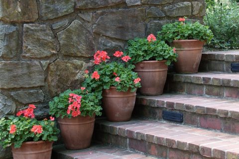 Oxford Landscaping Services